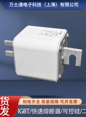 熔断器170M6146 170M6147 170M6148 170M6149 170M6150 170M6151