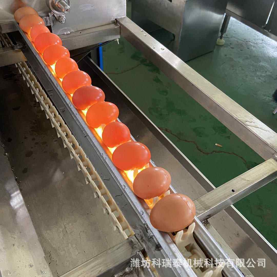 零售多功能洗蛋机 快速清洗鸡鸭蛋流水线 小型洁蛋设备