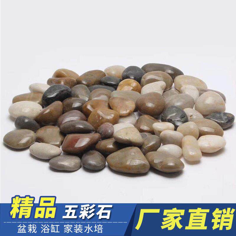 多肉花盆鱼缸装饰石头小石子庭院五彩色天然鹅卵石南京雨花石原石