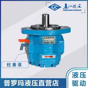 2063 2050 2080 2100 B2L 四川长江液压齿轮油泵CMG2040 2125 A1L