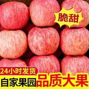 钰果香园 正宗山东烟台脆甜水果栖霞红富士苹果水果5斤10包邮