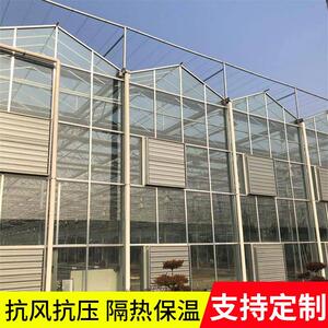 玻璃温室大棚阳光板温室连栋菜花卉养殖棚农业种植玻璃大棚定 制