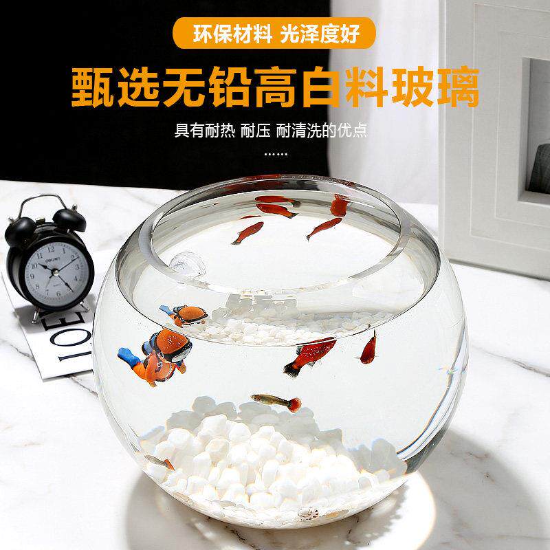 出口定制加厚超白玻璃鱼缸客厅小型圆形金鱼缸生态造景桌面乌龟缸