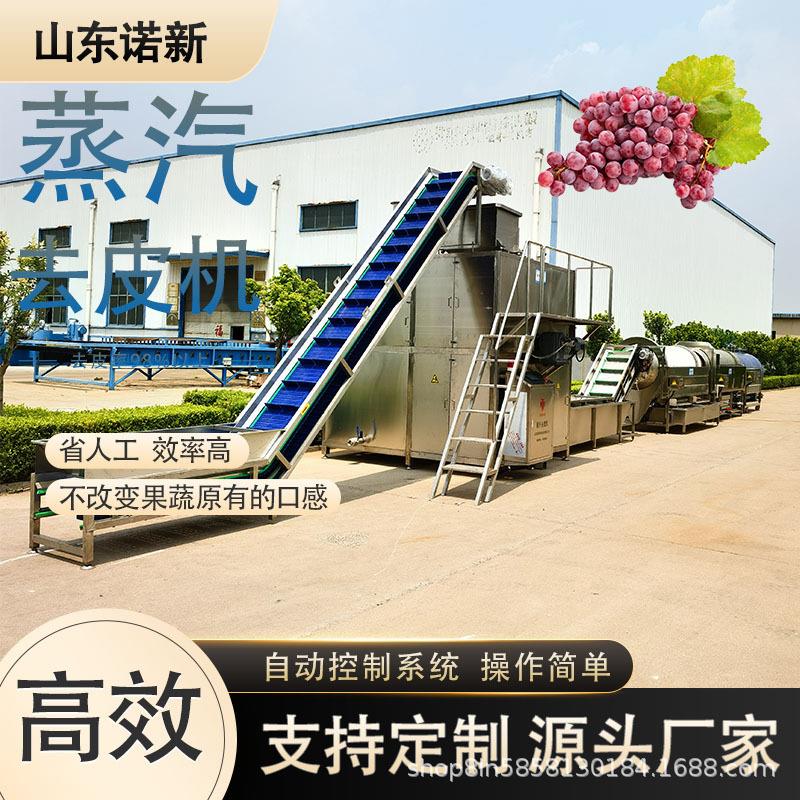 全自动商用大型红薯木薯蒸汽清洗去皮机山楂脱皮专业设备诺新