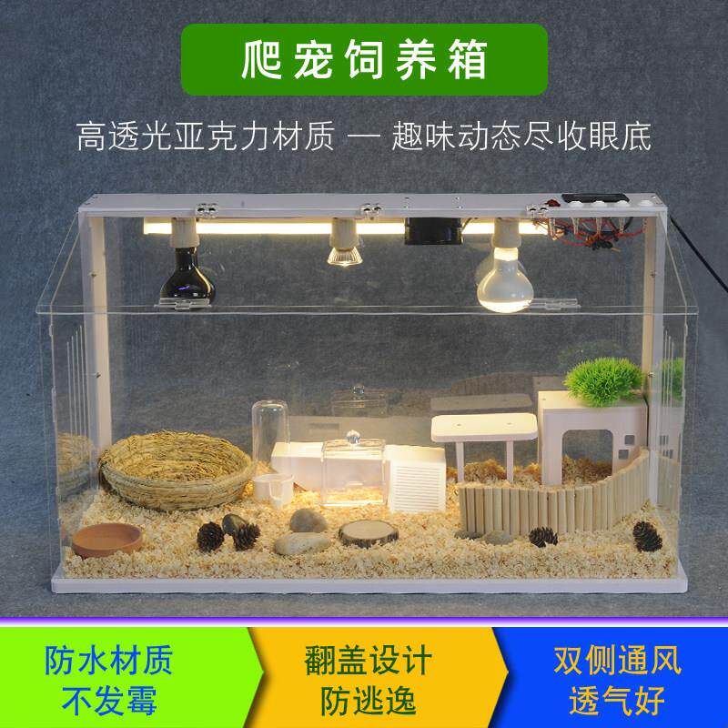爬宠饲养箱pvc保温箱守宫鬃狮蜥蜴陆龟蛇恒温箱乌龟爬行动物专用