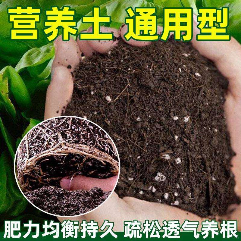 有机营养土通用型土壤种植土养花土种菜土绿萝多肉君子兰兰花土