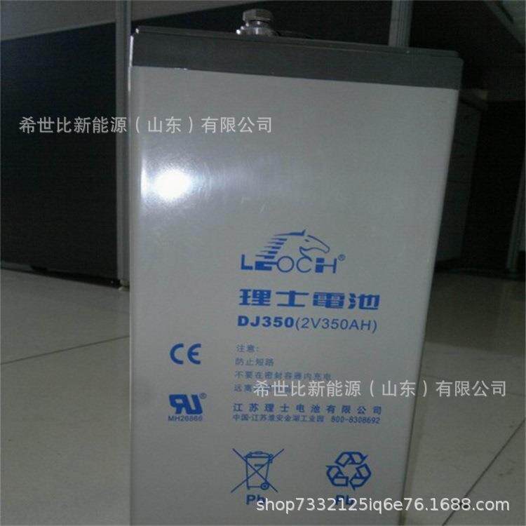 LEOCH理士蓄电池DJ350 2V350AH数据机房通讯能源交通医疗后备电源 - 实物图