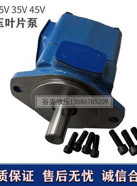 叶片泵 油泵 25V21A高压35v38a-1cr液压油泵注塑机鞋机液压叶片泵