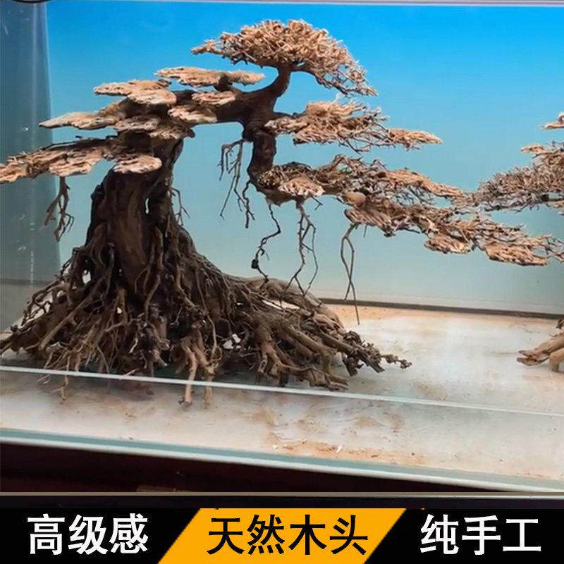 造景树鱼缸溪流缸沉木造景全套骨架景观生态缸海缸根雕成品莫斯树