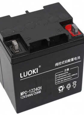 LUOKI洛奇蓄电池MPC12-24不间断12V24AH直流屏UPS机房应急电源