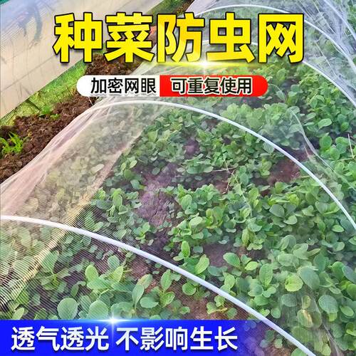 防虫网种菜专用温室大棚纱网蔬菜防鸟罩网罩菜地幼苗尼龙网防护网