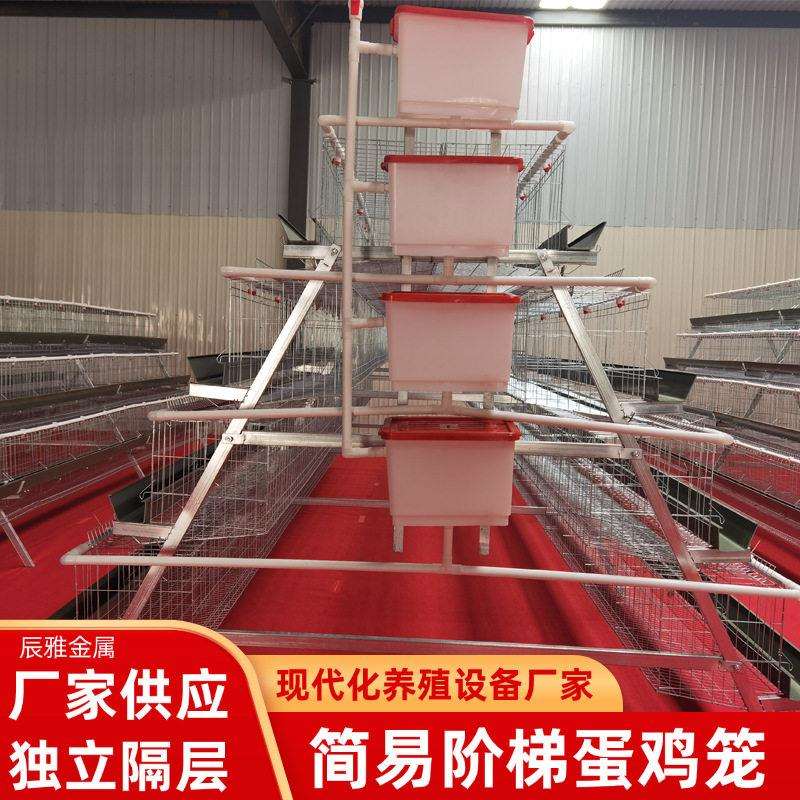 H型多层叠蛋鸡笼农场家禽食槽水箱养鸡笼子设备阶梯式蛋鸡笼具