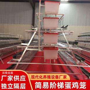 H型多层叠蛋鸡笼农场家禽食槽水箱养鸡笼子设备阶梯式蛋鸡笼具