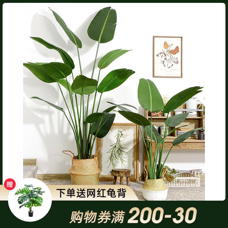 彷生彷真绿色植物大型盆栽摆件植物客厅北欧旅人蕉散尾葵假树网红