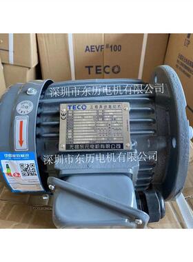 TECO无锡东元电机AEUFE3型号TEMH803-4YU 1HP 0.75KW立式马达380V
