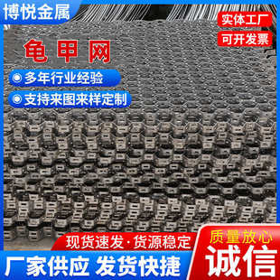 龟甲网 锅炉热风道内壁耐火网龟甲网 不锈钢锚固件龟甲网