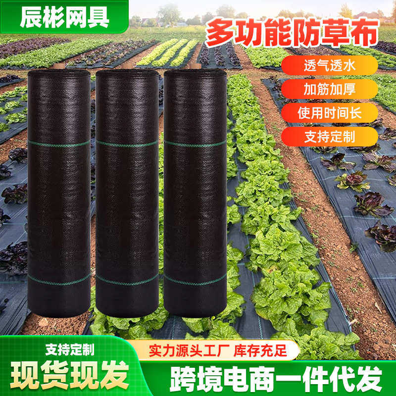 果园防草布 农用地膜地布除草布 大棚果园盖草透水除草布