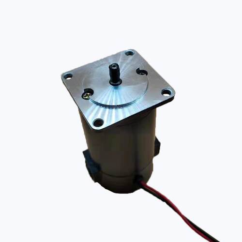 有刷直流马达224V48VR~2V077560W120W3000PM6000RPM电机微型正反