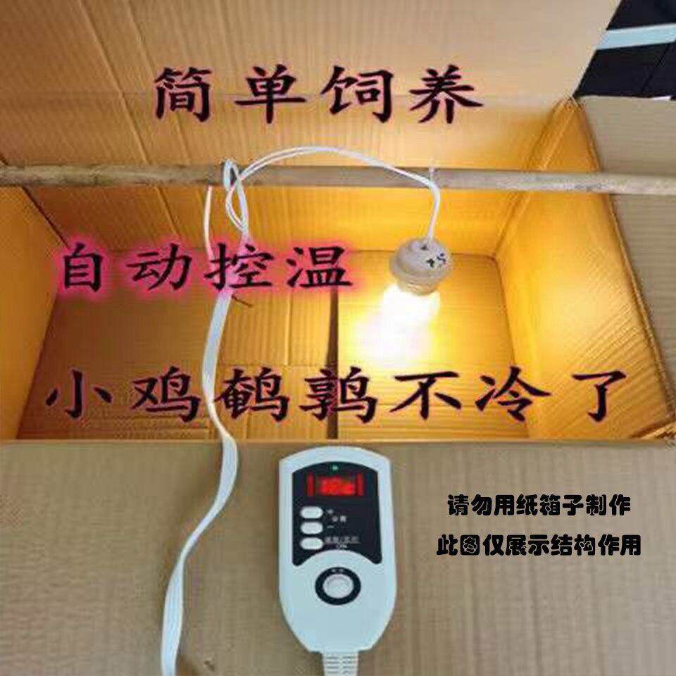 养殖保温箱小鸡保温箱自动控制温度鹌鹑育雏箱雏鸟宠物保温箱育雏