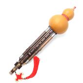 高档新艺紫竹孔9孔葫芦丝 竹专业演奏九型降B调C紫调成人宽 乐器