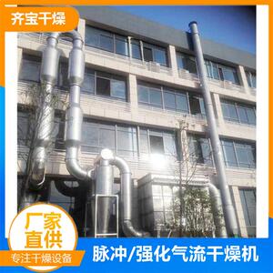齐宝气流干燥机 脉冲气流干燥机 强化气流干燥设备 气流烘干设备