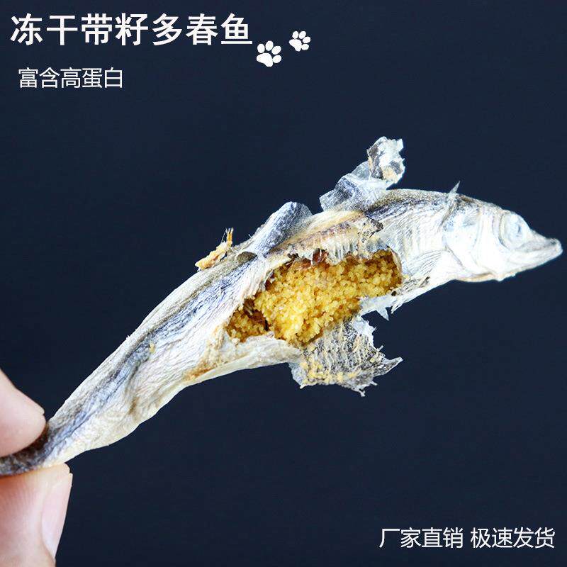 宠物零食冻干带籽多春鱼厂家 多春鱼干鱼肉 狗猫零食