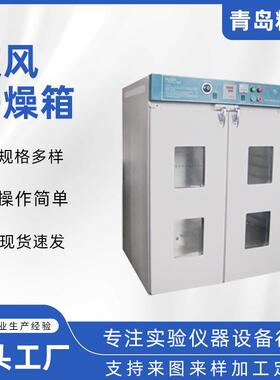 精科厂家生产立式电热工业烤箱恒温干燥箱实验室烘箱小型循环恒温