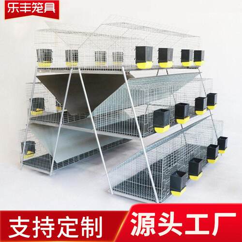 阶梯式三层二十四位兔笼 养殖兔笼分层兔笼商品兔笼