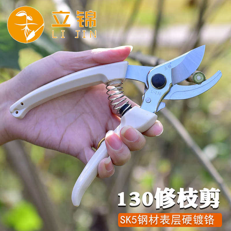 德国进口园林修剪工具花园剪子剪枝剪 修枝剪园艺剪果树剪树枝修