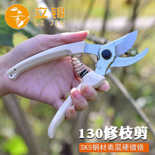 德国进口园林修剪工具花园剪子剪枝剪 修枝剪园艺剪果树剪树枝修