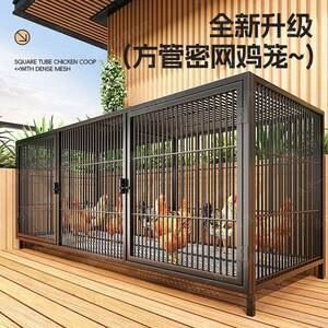 室外养鸡专用笼子家用室外大号方管防雨室内自动清粪鸭鹅养殖鸽子