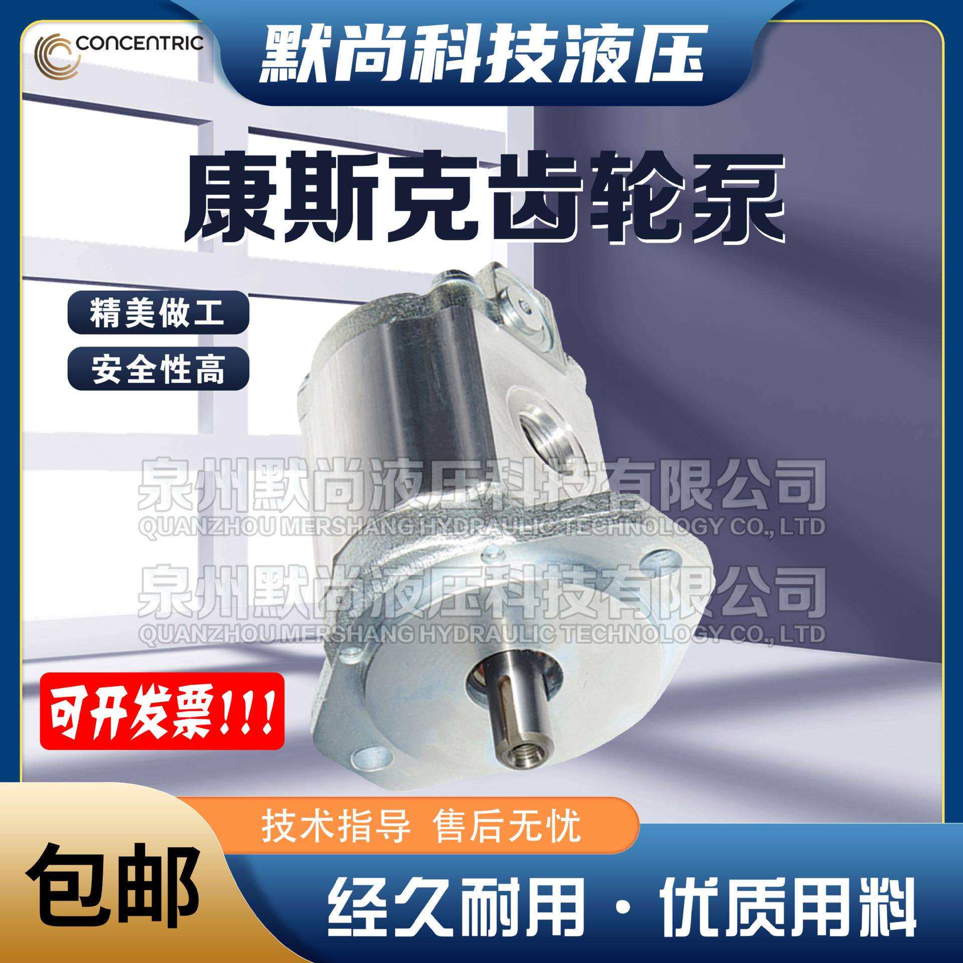 德国CONCENTRIC齿轮泵WP09A1SZSKH191001L系列液压油泵 液压马达