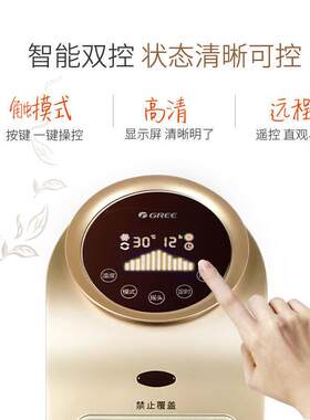 格.力电暖器家用冷暖两用暖风机遥控暖气机速热取暖器NTFD-X6020B