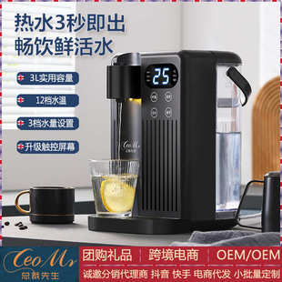 饮水机家用智能速热饮水器小型台式 即热式 桌面饮水机现货一件代发