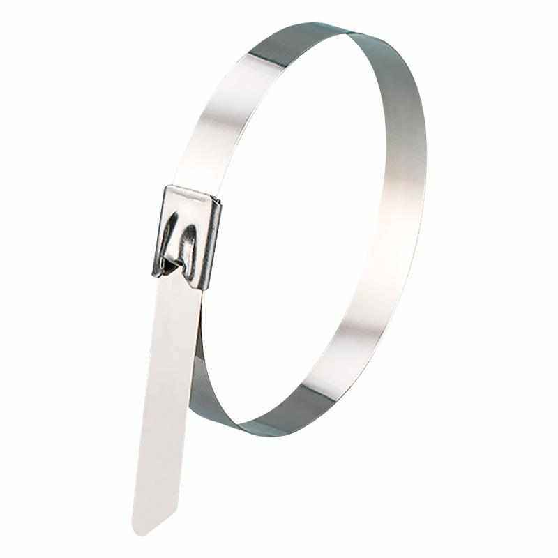 304不锈钢扎带4.6*1200自锁式耐高温金属扎带扣式束线带厂家现货,五金/工具,捆扎带,淘宝优惠券,粉丝福利购,淘宝优惠卷