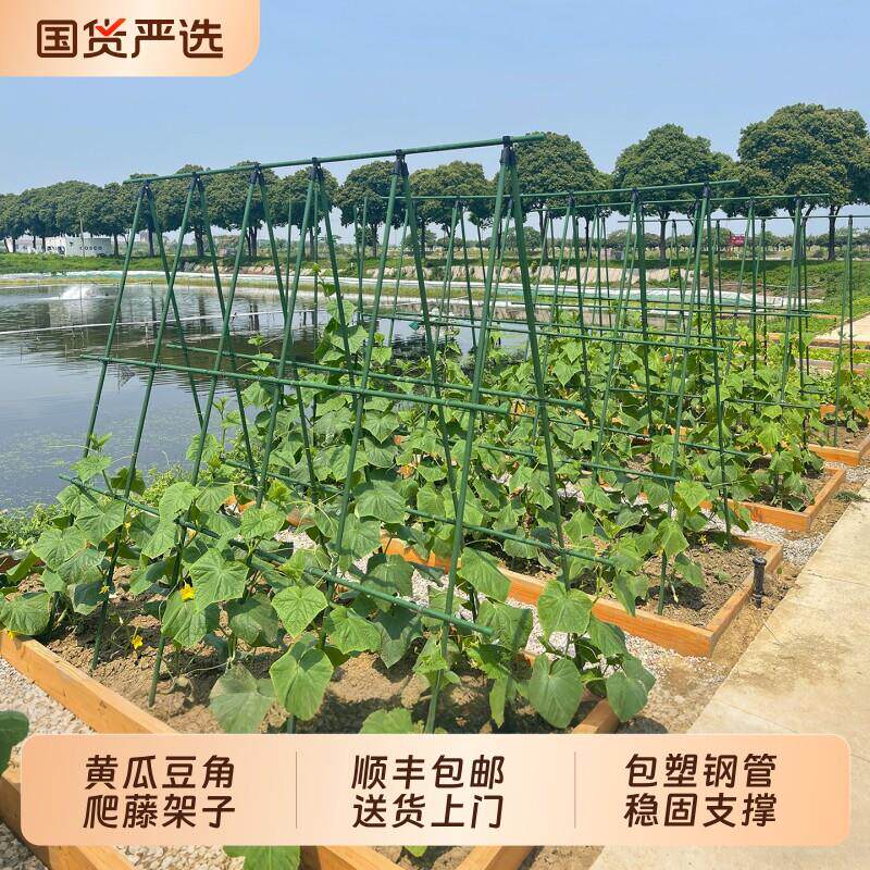 黄瓜爬藤架豆角架杆西红柿支撑杆种菜搭架子庭院葡萄种植箱爬藤架