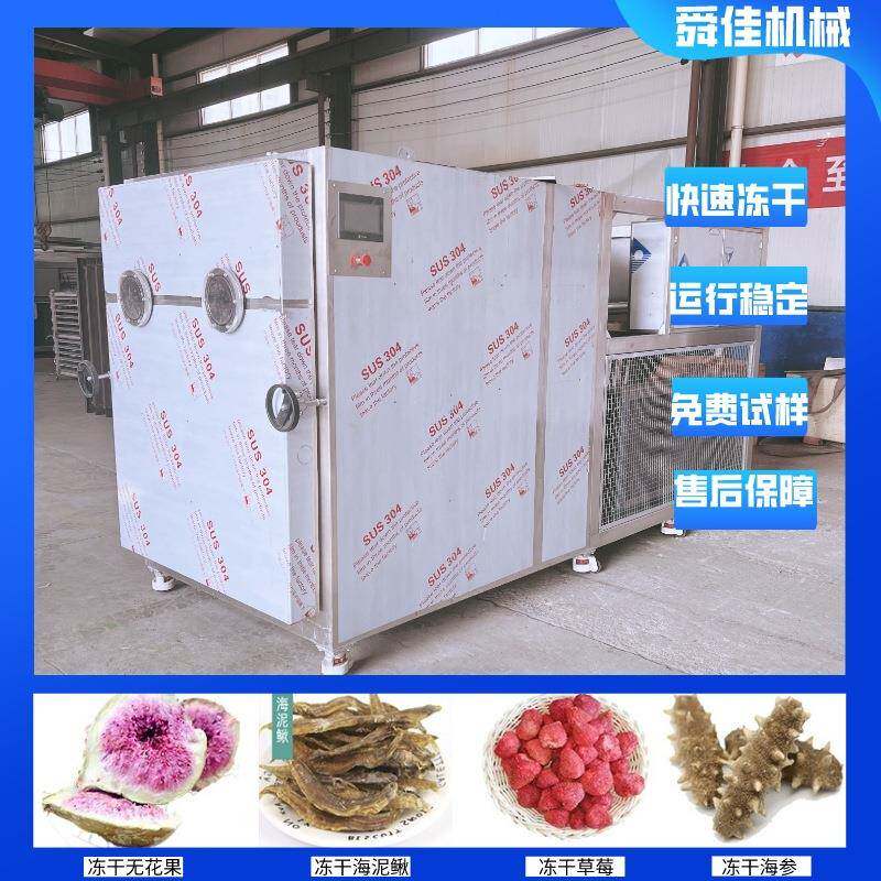 原位真空冷冻干燥机果蔬锁鲜真空冻干机榴莲菠萝蜜低温脱水冻干机