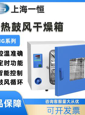 上海一恒DHG-9030A/9070/9140A电热恒温鼓风干燥箱实验室烘箱工业
