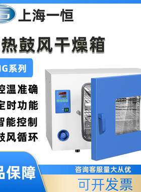 上海DHG-9030A/9070/9140A电热恒温鼓风干燥箱实验室烘箱工业