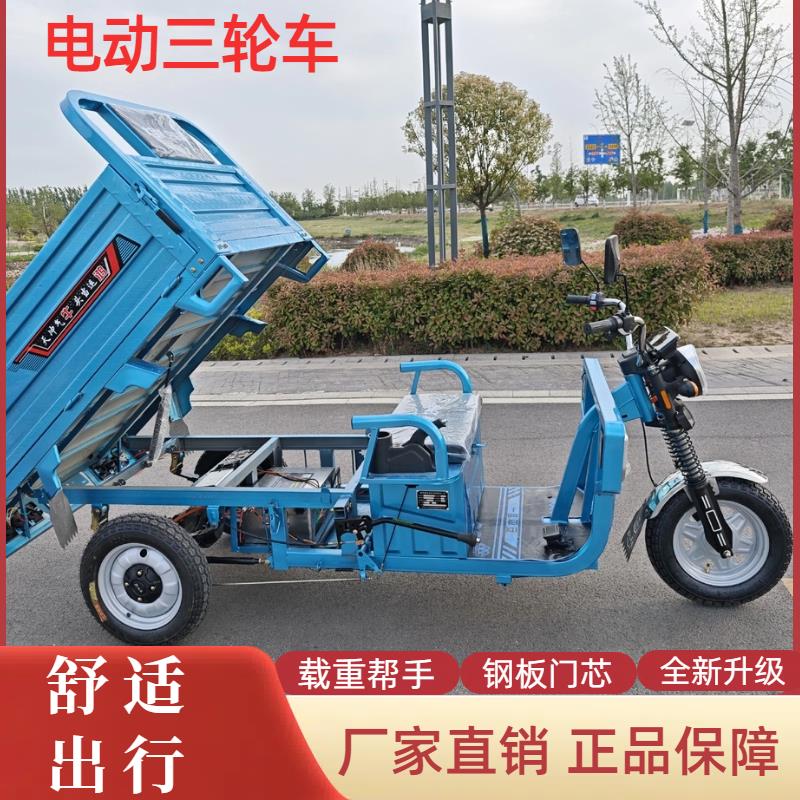 电动三轮车拉货载重王三轮电动电瓶车家用小型农用三轮车摆摊快递
