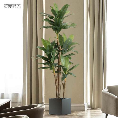 以法莲轻20210513奢仿真植物盆天鹅绒假绿植客厅内大型落室地摆件