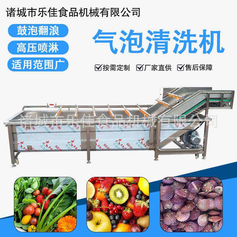 咖啡豆五谷杂粮清洗机包装袋清洗设备高压喷淋果蔬气泡清洗机