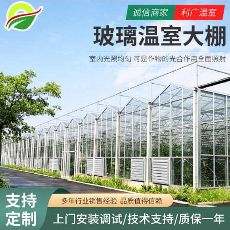 新型连栋智能玻璃大棚温室自动控制系统智能温室大棚