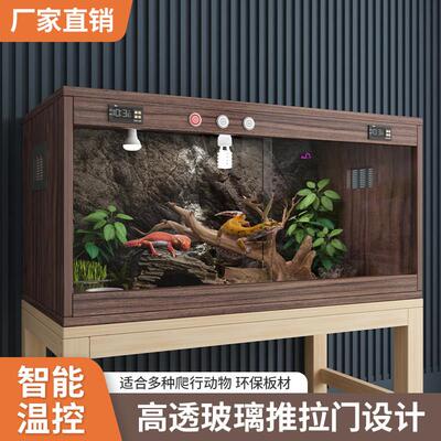 鬃狮蜥蜴饲养箱守宫异宠爬宠智能恒温养殖箱子苏卡达可造景保温箱
