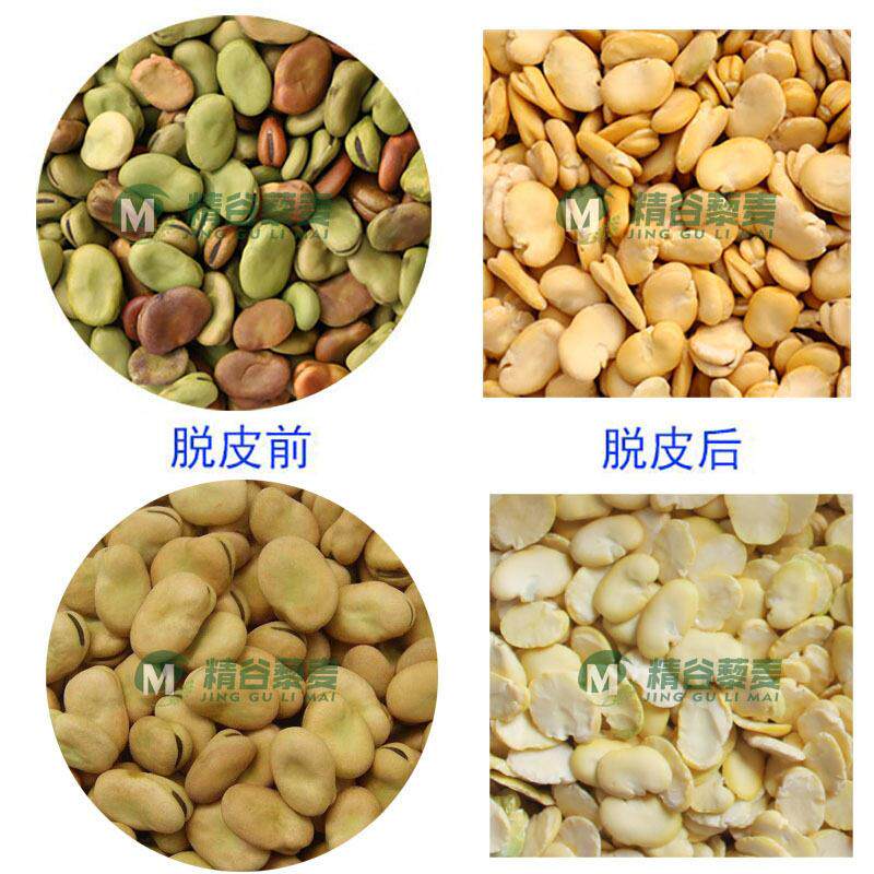 蚕豆干法脱皮机白凤豆脱皮扒皮机设备蚕豆分瓣机设备