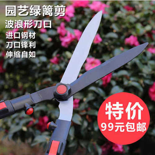 修枝伸缩园艺剪绿篱剪工具剪刀花大园林剪园艺果树进口剪篱笆