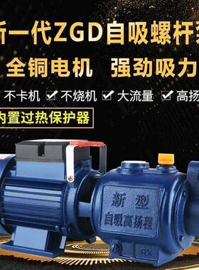 家用全自动抽水井泵自压水吸泵高扬程螺杆泵水泵增泵无塔供水QHG2