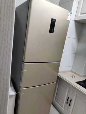 分析说说新飞BCD-252评价感受?分析新飞