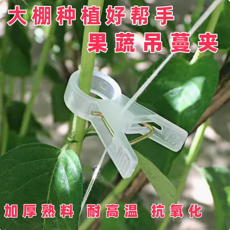 大棚黄瓜夹子吊秧夹番茄辣椒吊蔓夹番茄吊秧夹子绑蔓夹吊蔓夹