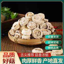 精品口蘑菇河北张家口坝上特产内蒙白蘑炖肉炖汤菇类干 干货饭店